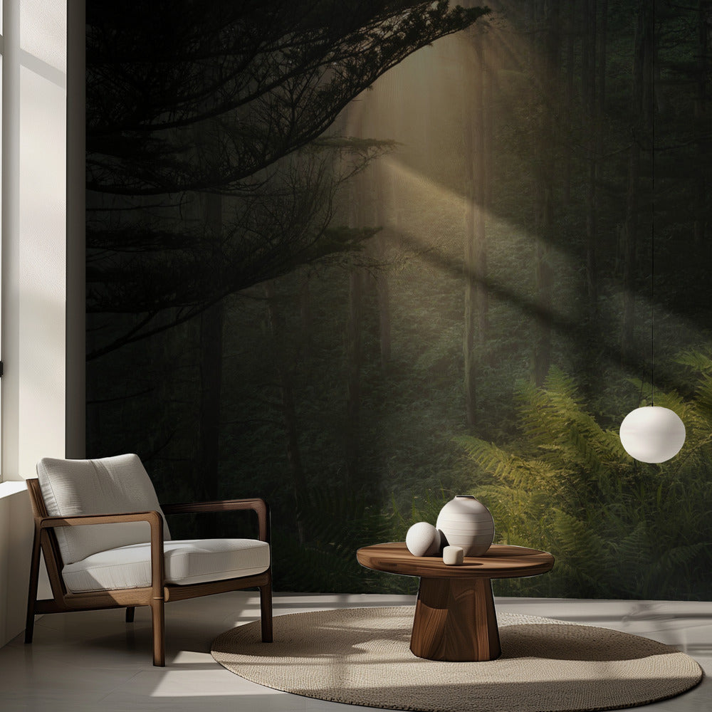 Riflettori. | Carta da Parati Fotografica