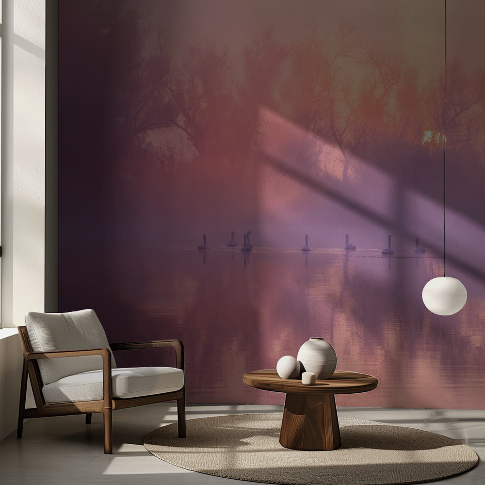 Amanecer en el lago de los cisnes | Papel Pintado Fotográfico