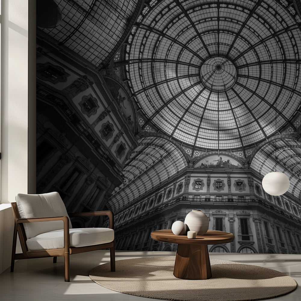 Encuentros Cercanos | Papel Pintado Fotográfico