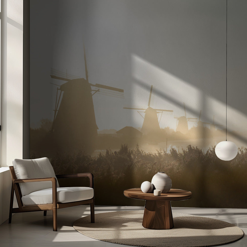 Kinderdijk | Carta da Parati Fotografica