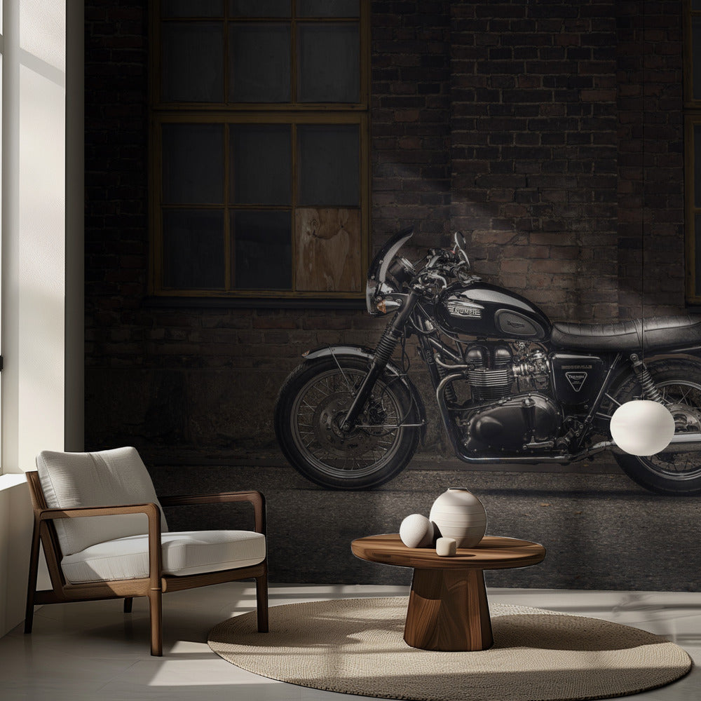 Jak się przemieszczam: Kari - Transport | Fototapeta