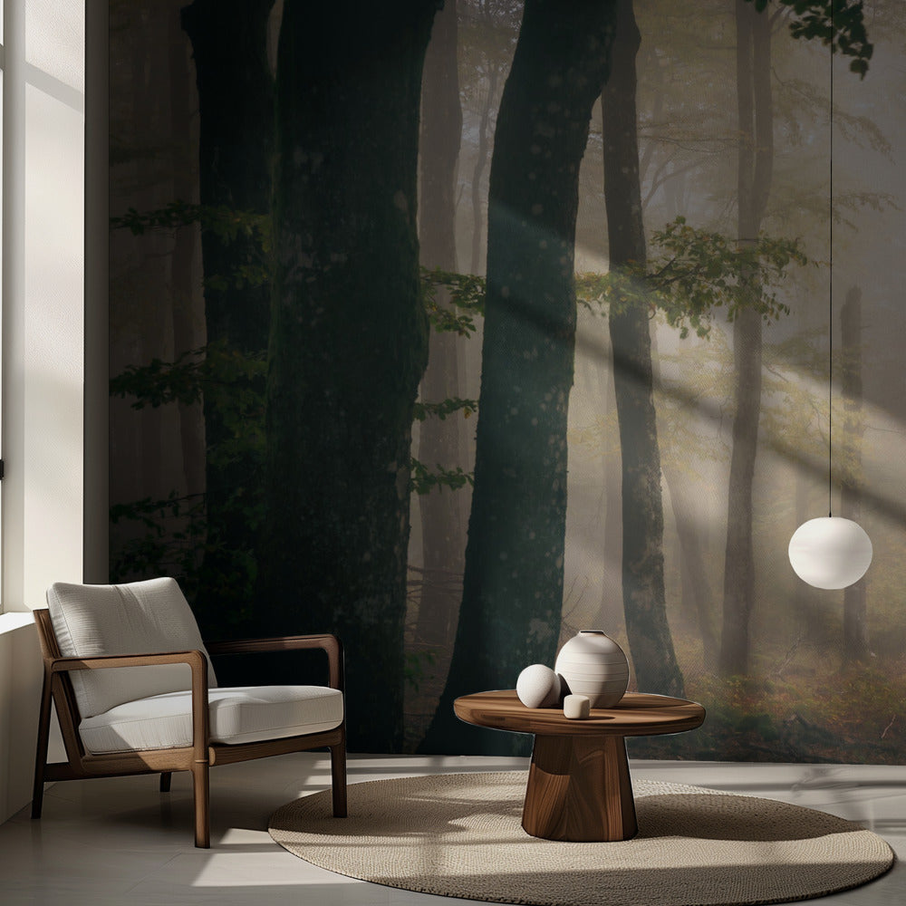 Herbst | Fototapeten