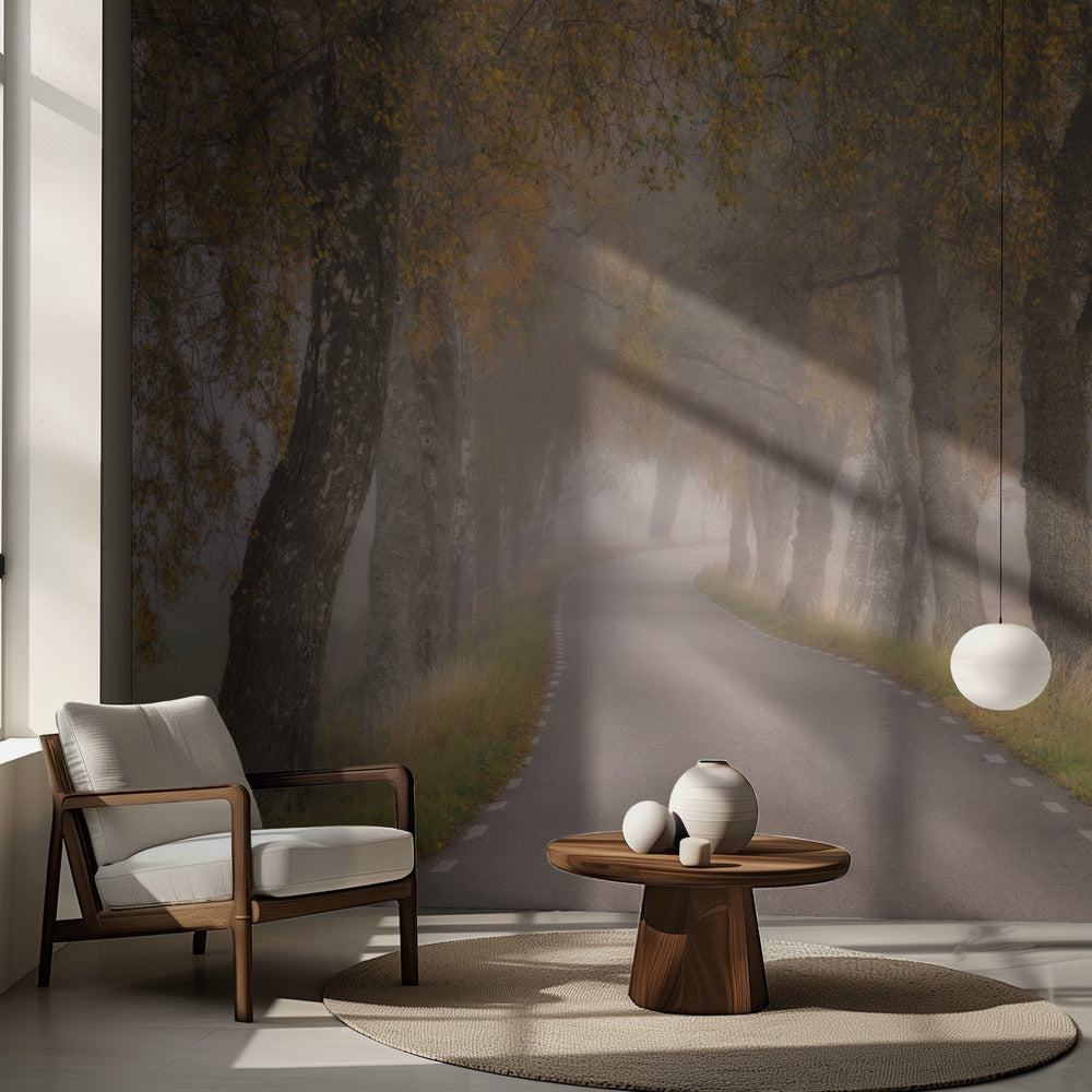 Fallende Blätter | Fototapeten