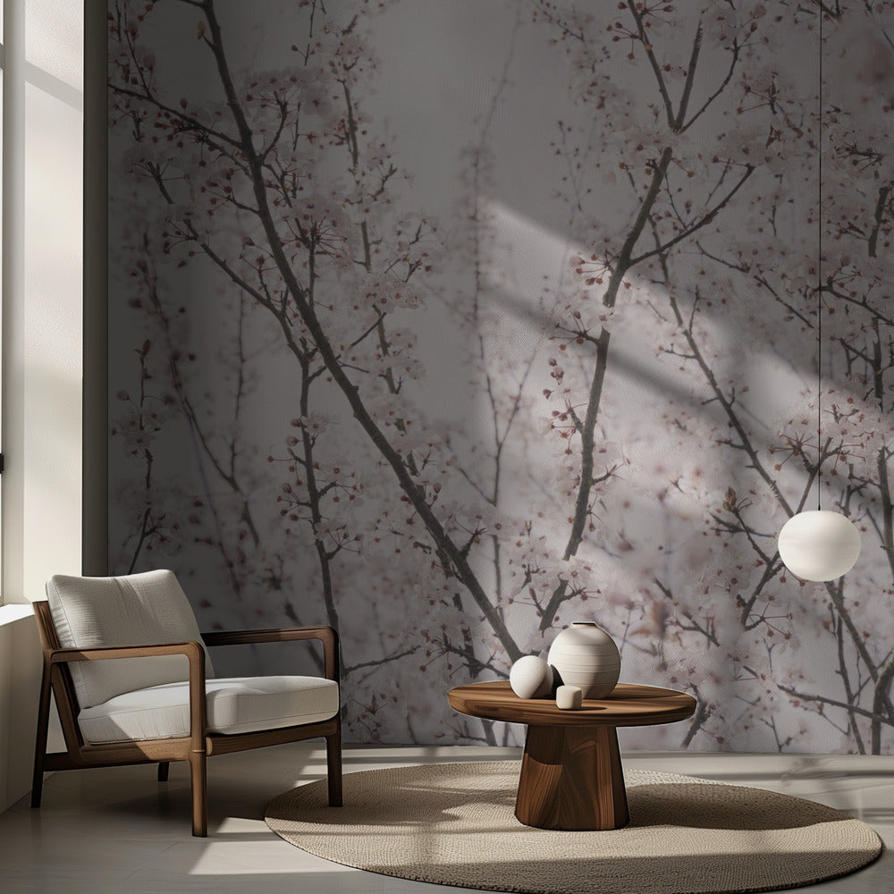 Spring blossoms | Wallpaper