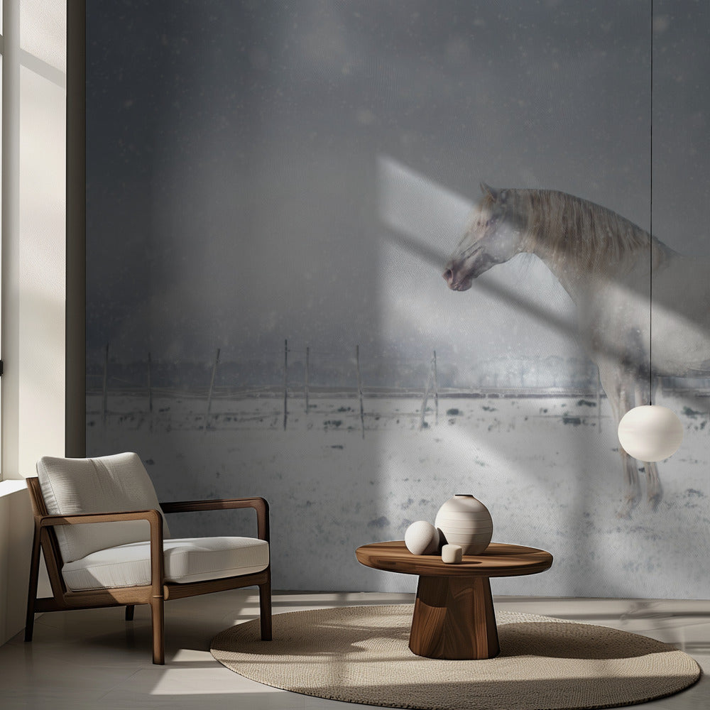 Sataa lunta... | Valokuvatapetit