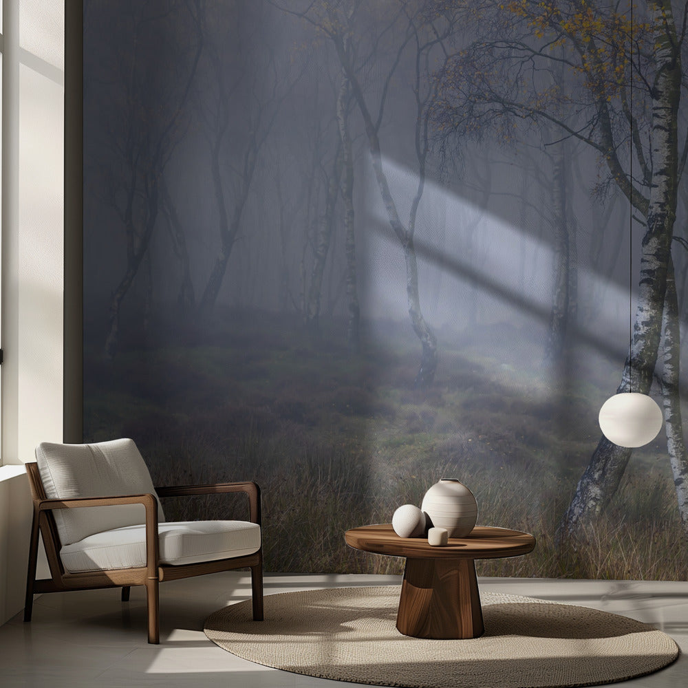 Ohne Titel | Fototapeten