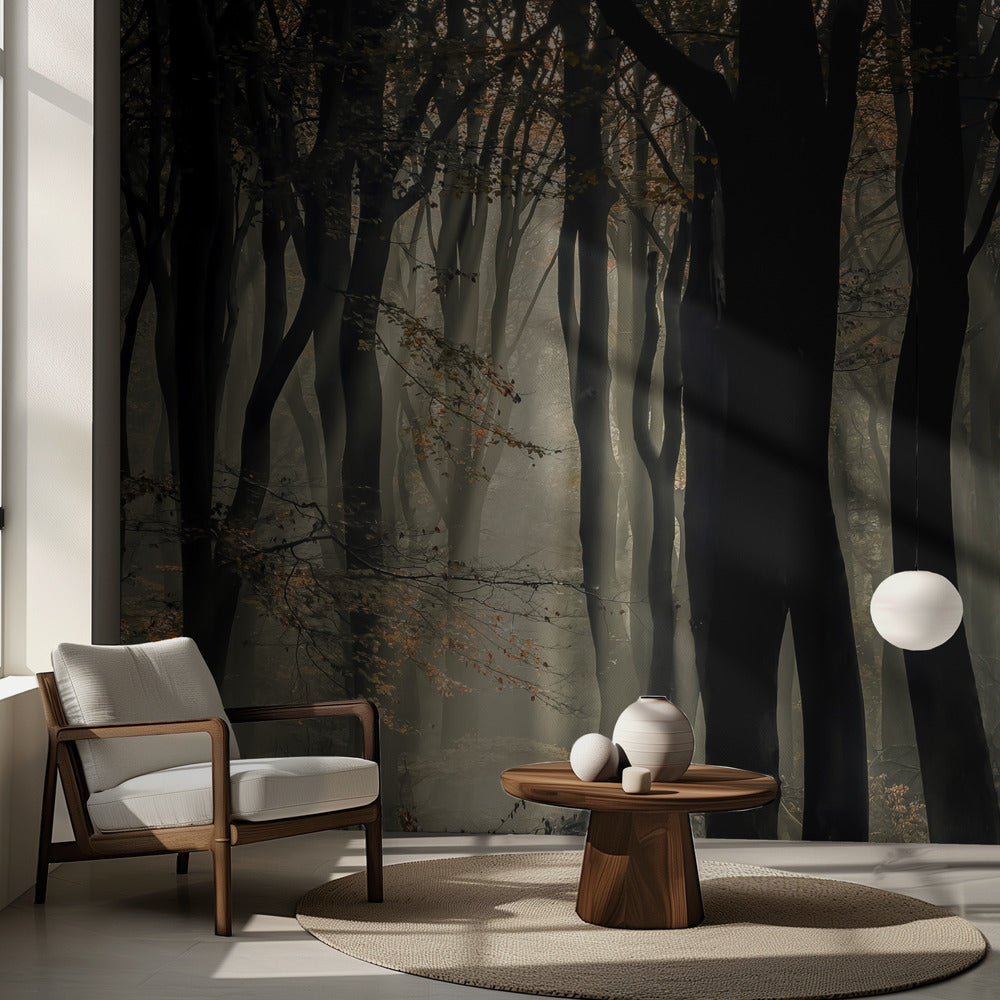 Speulderbos | Fototapeten