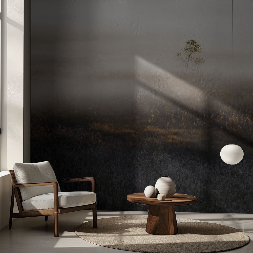 Tempo speciale | Carta da Parati Fotografica