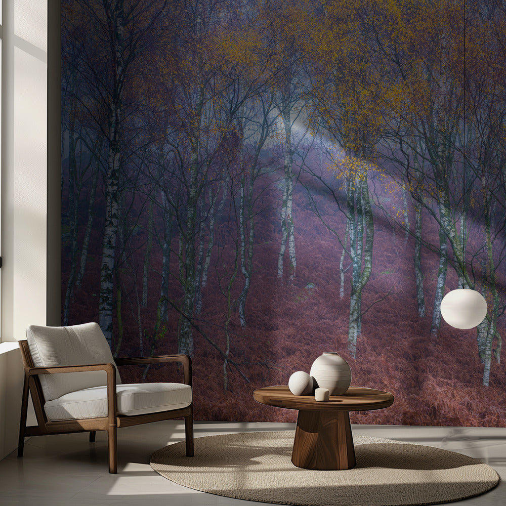 Ohne Titel | Fototapeten