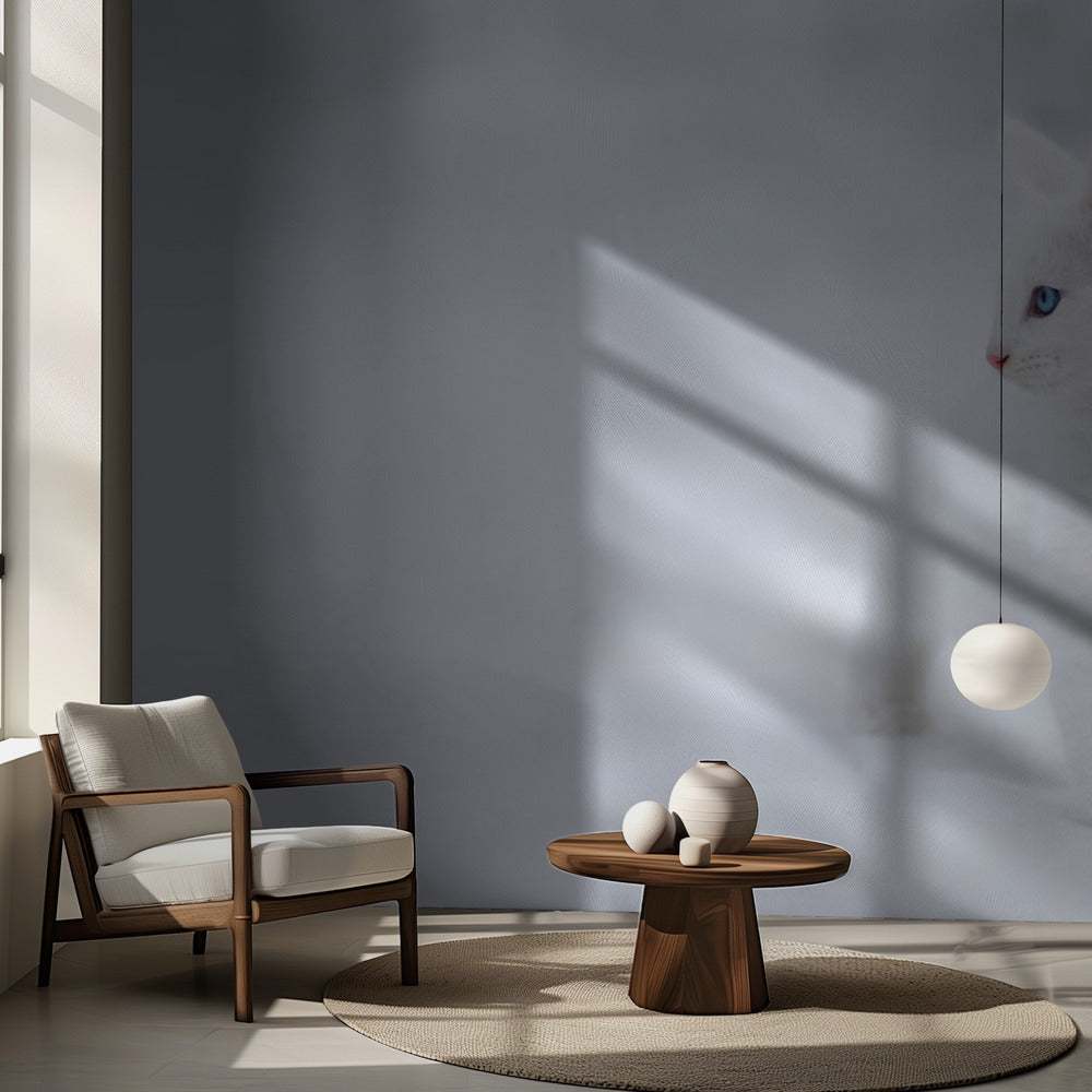 Valkoinen kuin lumi | Valokuvatapetit