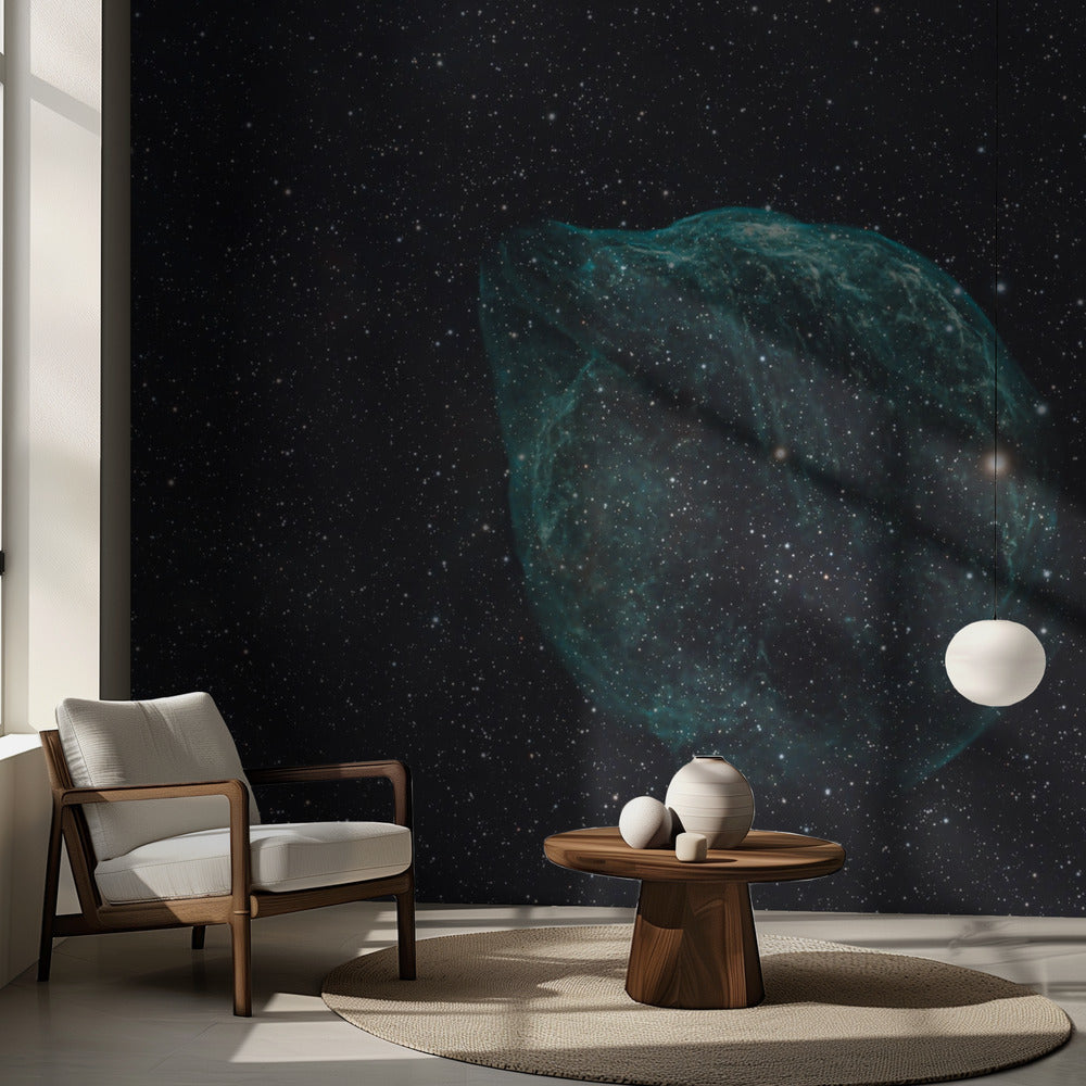 DELFIINISUMU - SHARPLESS 2-308 | Valokuvatapetit