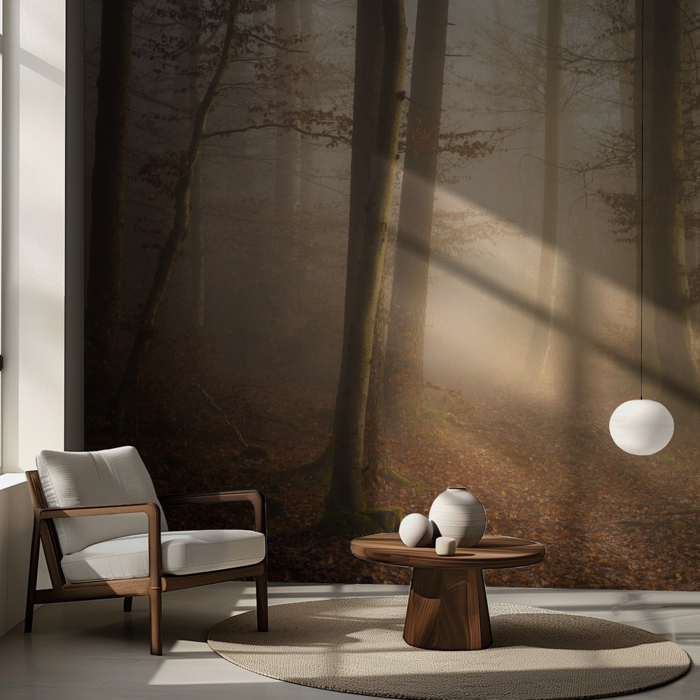 Novemberwald | Fototapeten