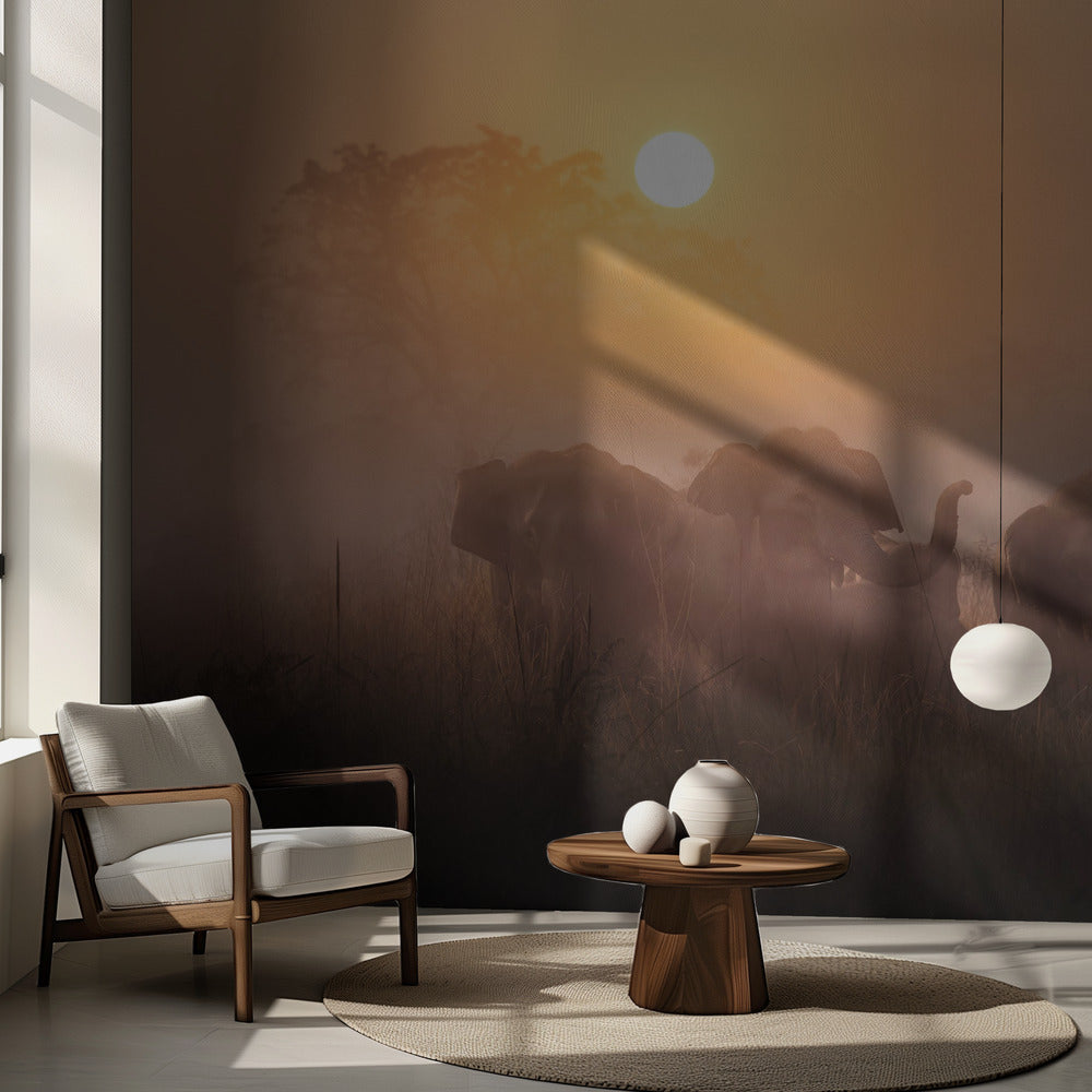 Aamut | Valokuvatapetit