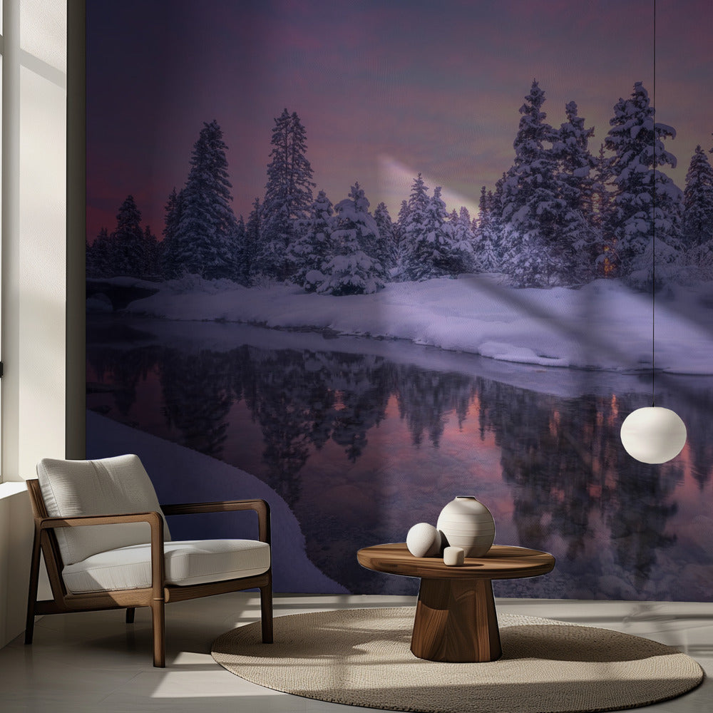 Mattina nella foresta | Carta da Parati Fotografica