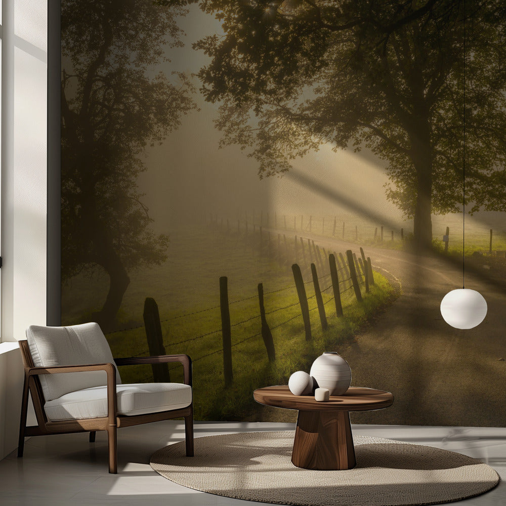Morgenspaziergang | Fototapeten