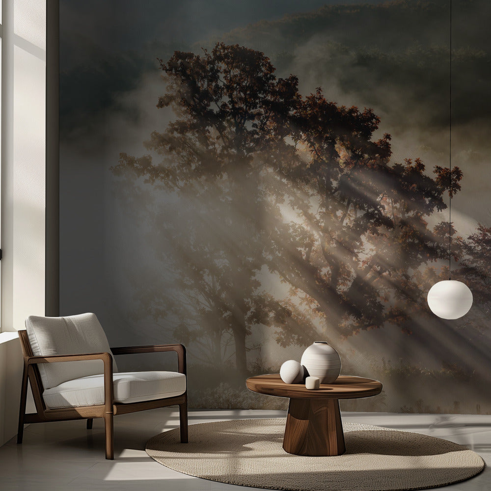 raggio di luce | Carta da Parati Fotografica