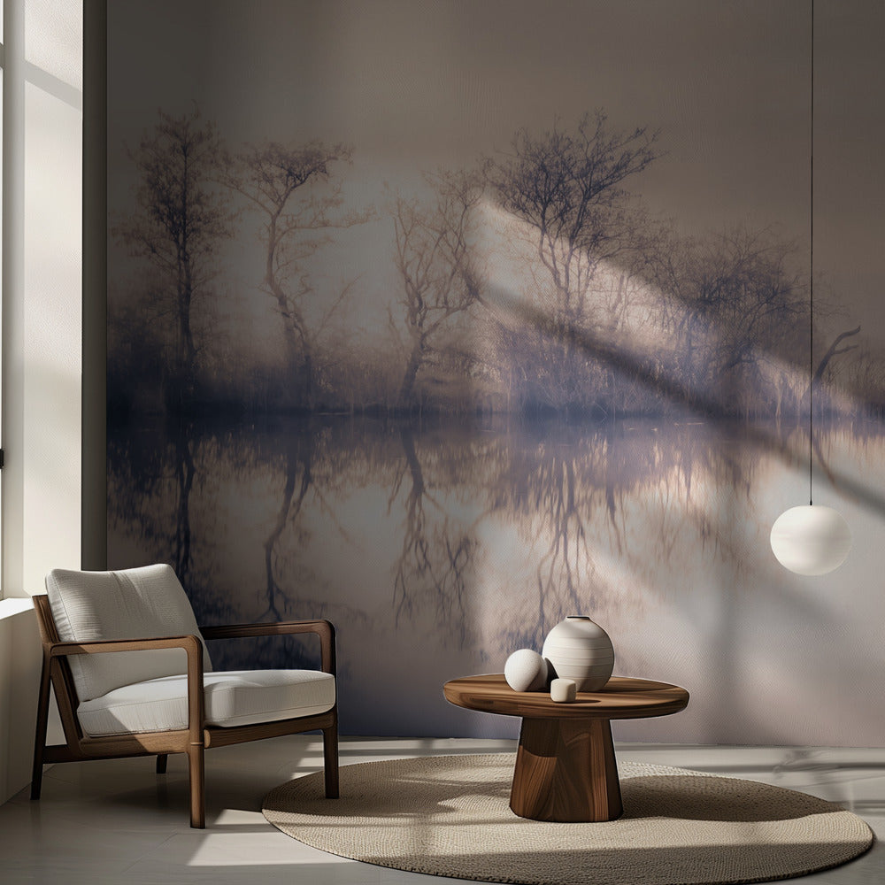Kalter Morgen am Teich | Fototapeten