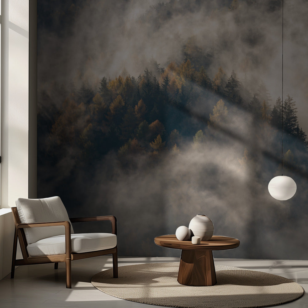 Sumua puissa | Valokuvatapetit