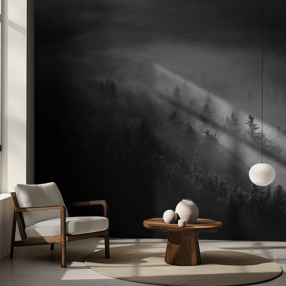 Sumuinen | Valokuvatapetit