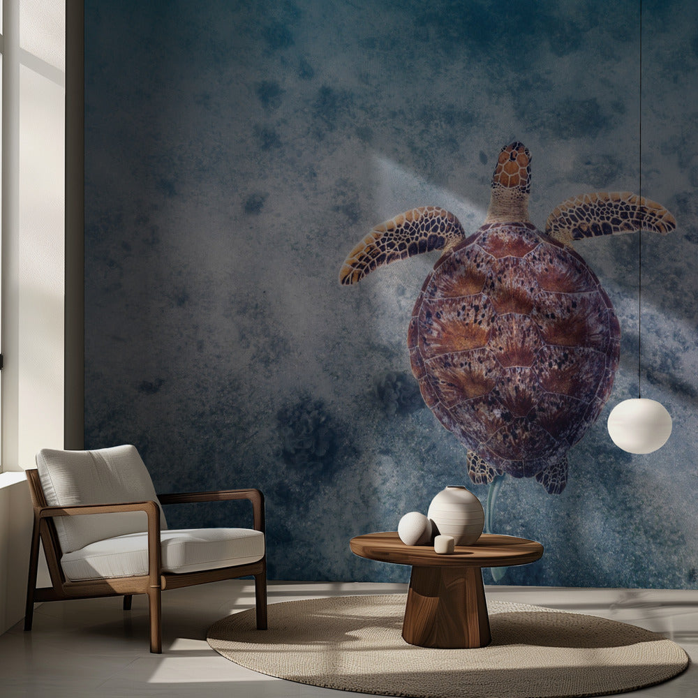 Estilo australiano | Papel Pintado Fotográfico