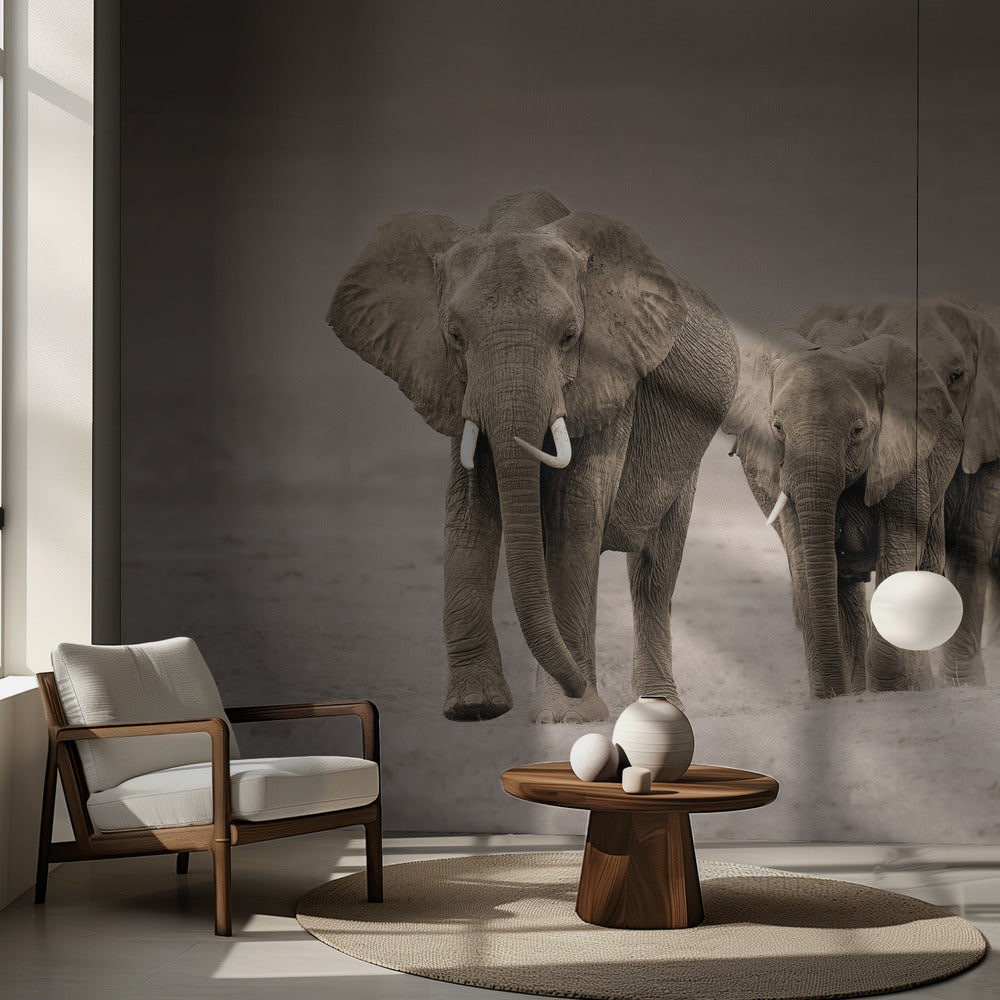 Polku | Valokuvatapetit