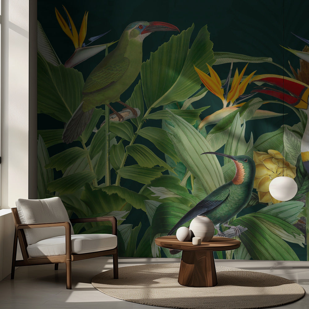 Sademetsän linnut | Valokuvatapetit