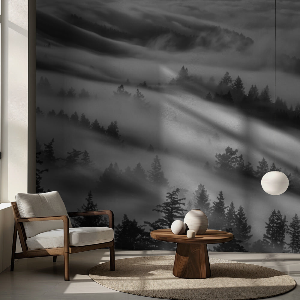 Metsät | Valokuvatapetit