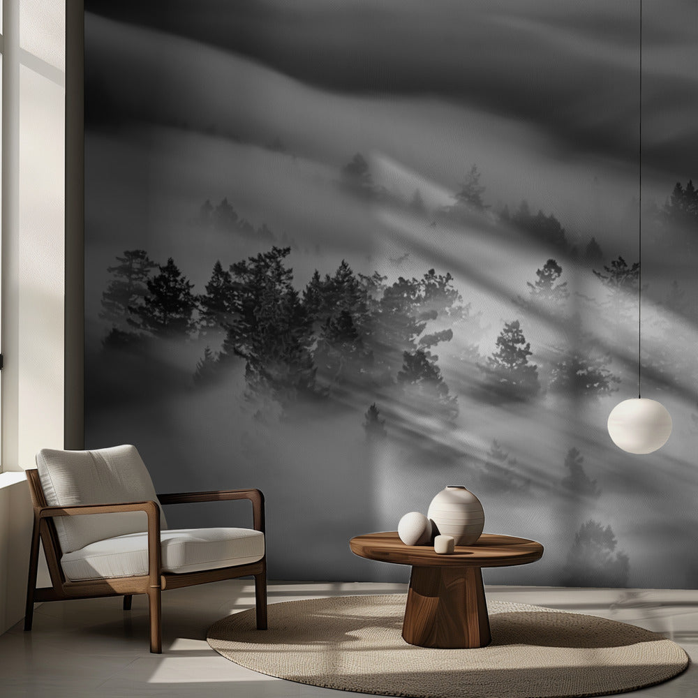 Nimetön | Valokuvatapetit