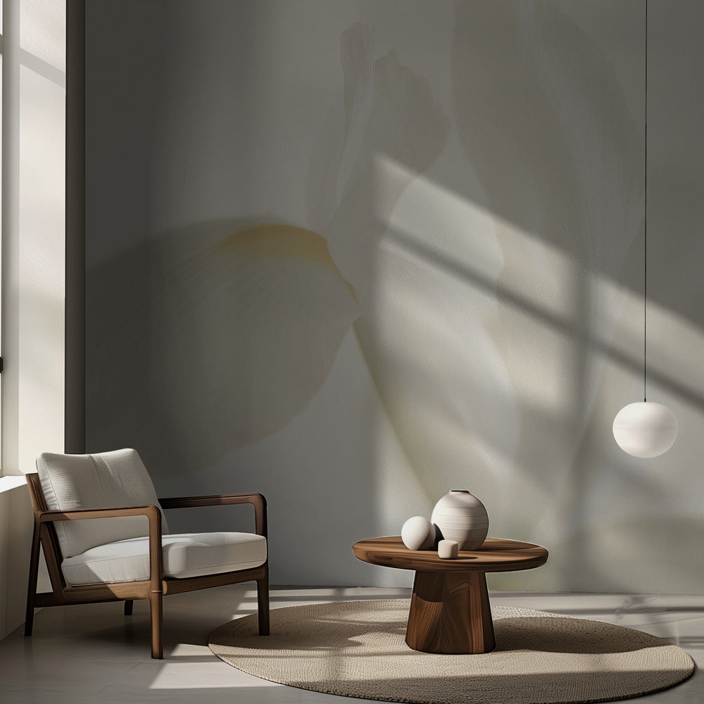 Valkoinen iiriksen kukka lähikuvassa | Valokuvatapetit