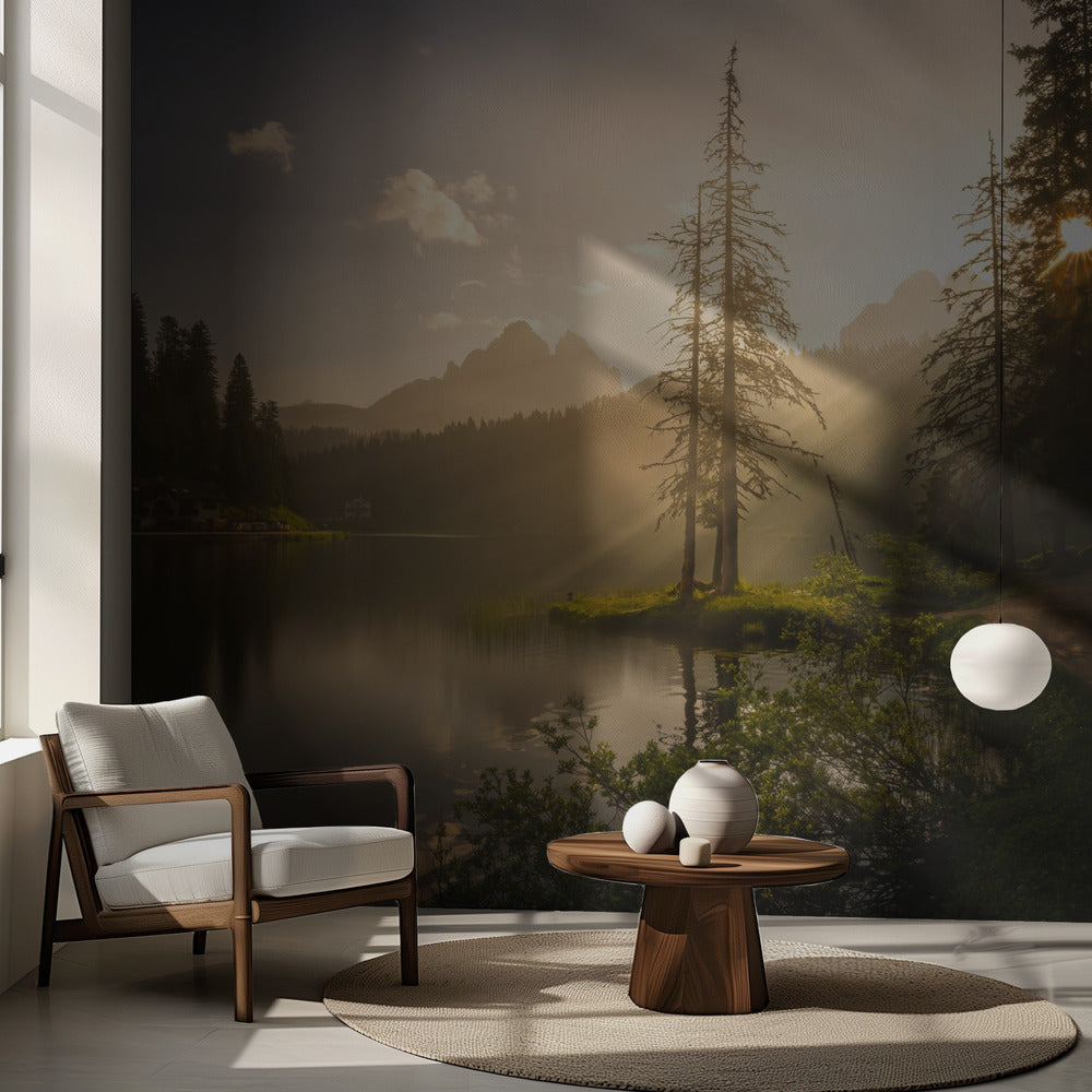 Aamun valo | Valokuvatapetit