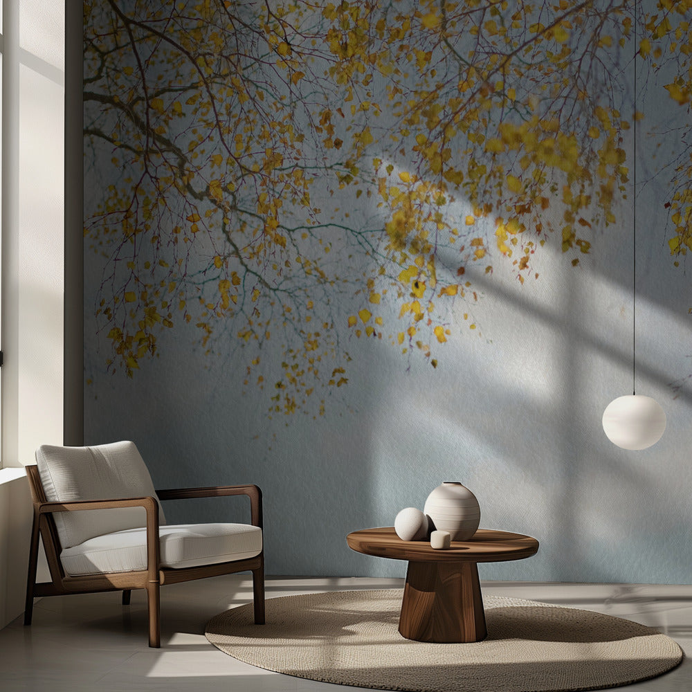 Hopeakoivun lehdet sinisellä taivaalla | Valokuvatapetit