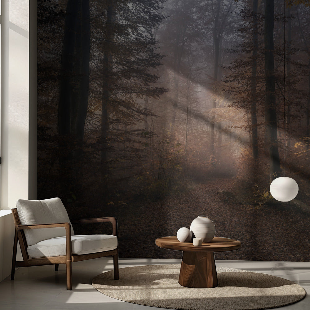 Sinfonia di novembre | Carta da Parati Fotografica