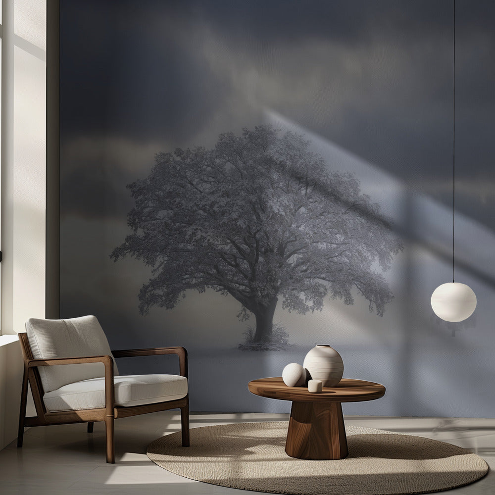 Kylmä aamu | Valokuvatapetit