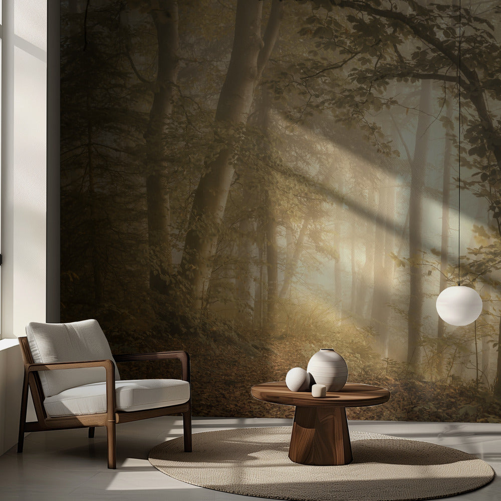 Waldlicht | Fototapeten