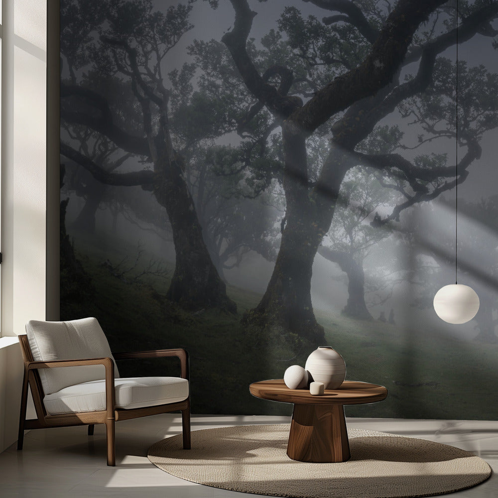 Morning mist | Wallpaper