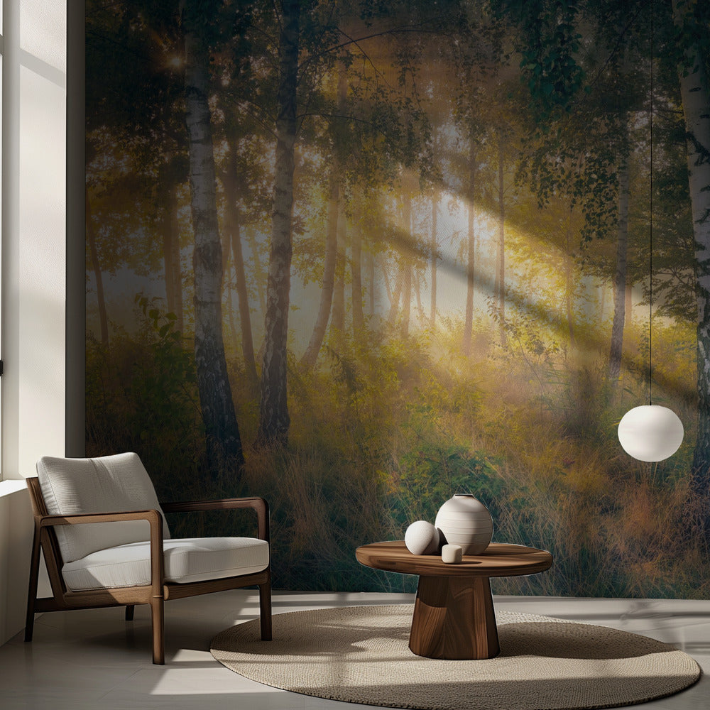 Kultaa metsässä | Valokuvatapetit