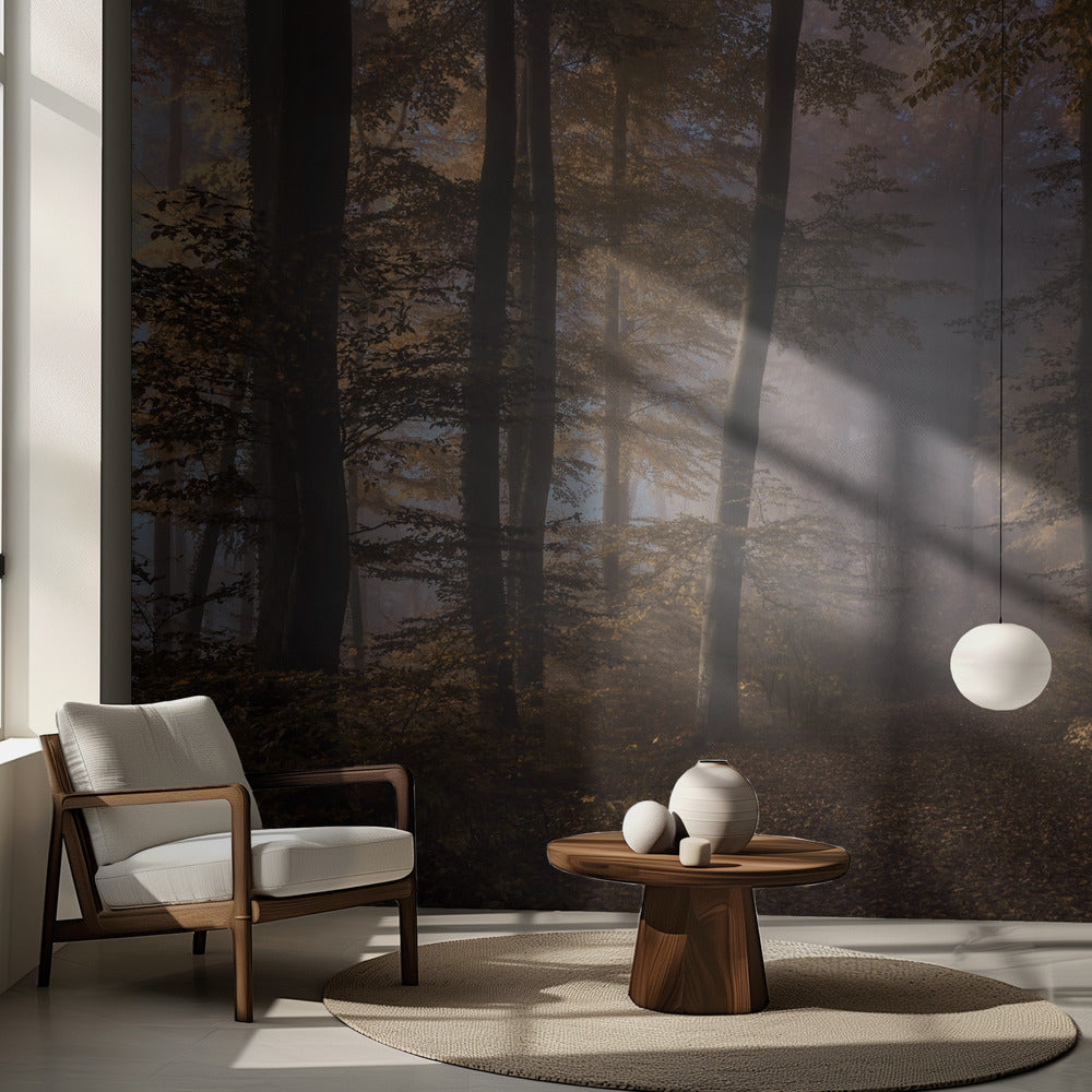 Verso la luce | Carta da Parati Fotografica