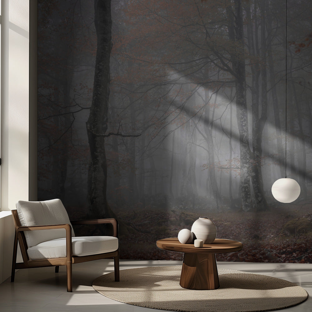 Nebbia e foresta | Carta da Parati Fotografica