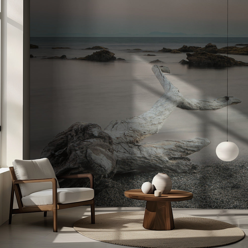 Puukalan ruho | Valokuvatapetit