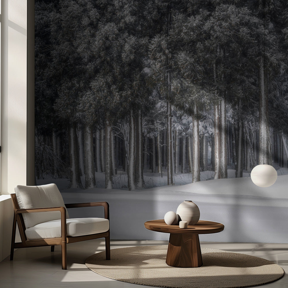 Un posto in un mondo d'argento | Carta da Parati Fotografica