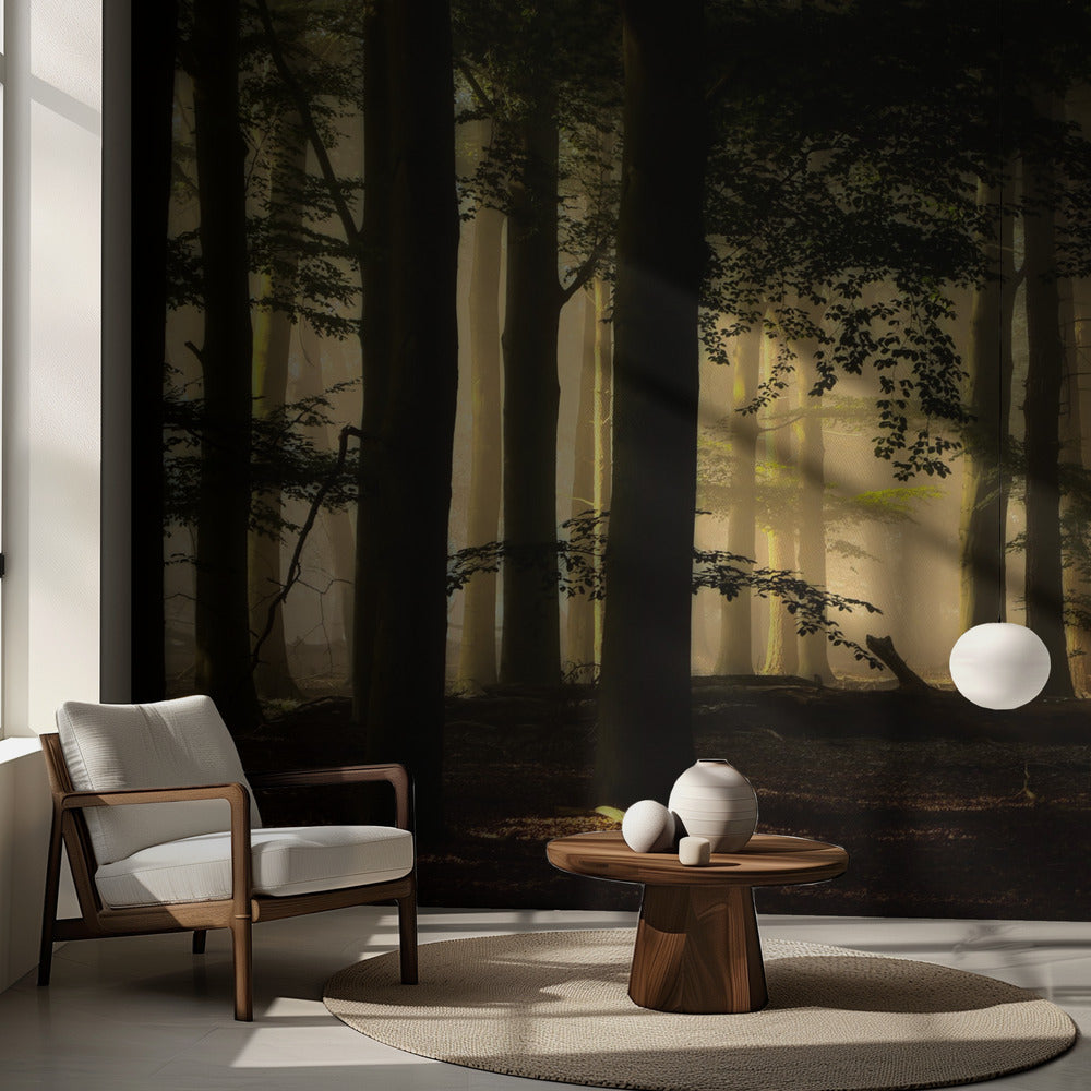 retroilluminazione | Carta da Parati Fotografica