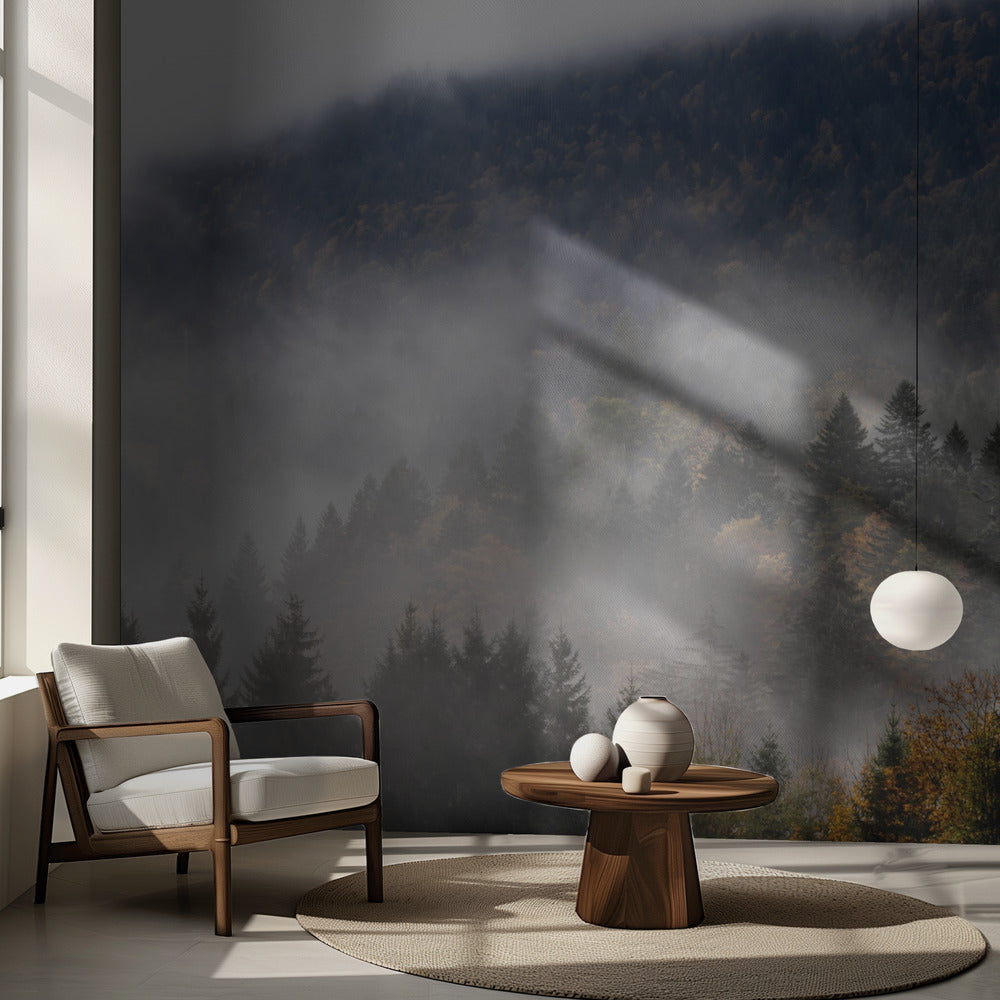 Sumuinen Metsä 9 | Valokuvatapetit