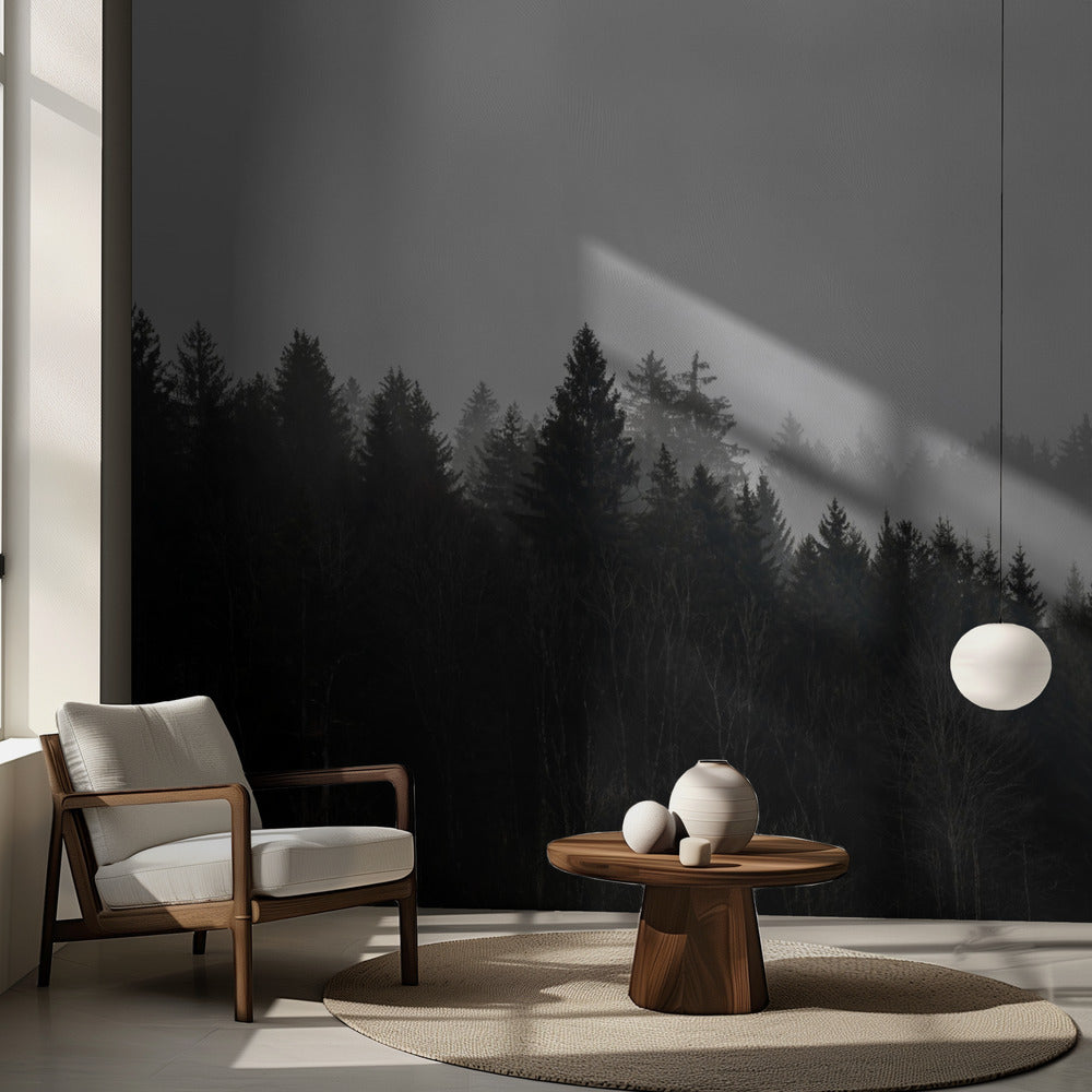 Foggy Woods 7 | Wallpaper