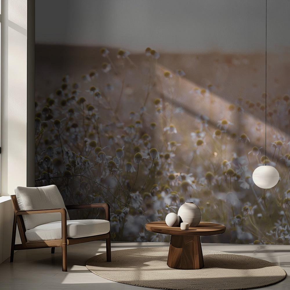 Mattina d'estate 7 | Carta da Parati Fotografica