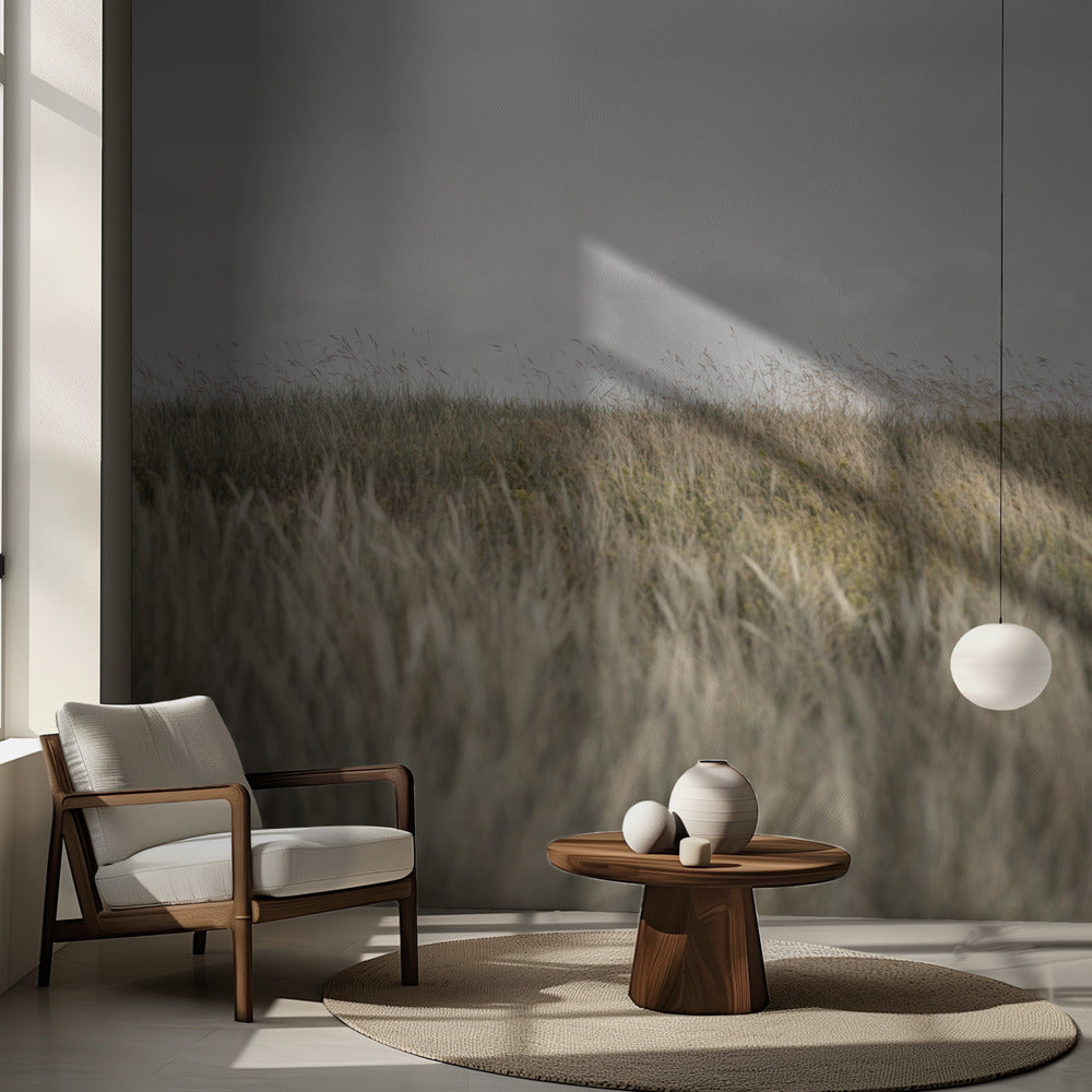 Dyynit ja pilvet 2 | Valokuvatapetit