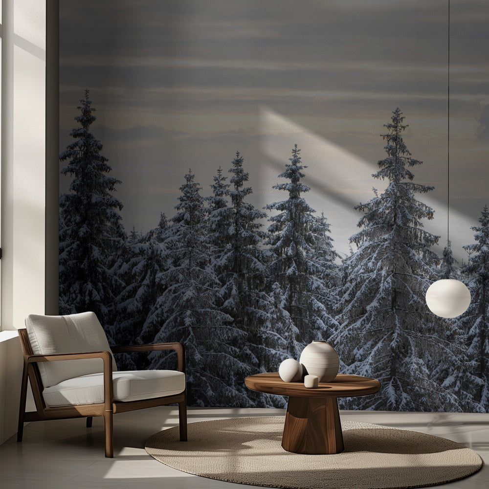 Lumen peittämät puut 8 | Valokuvatapetit