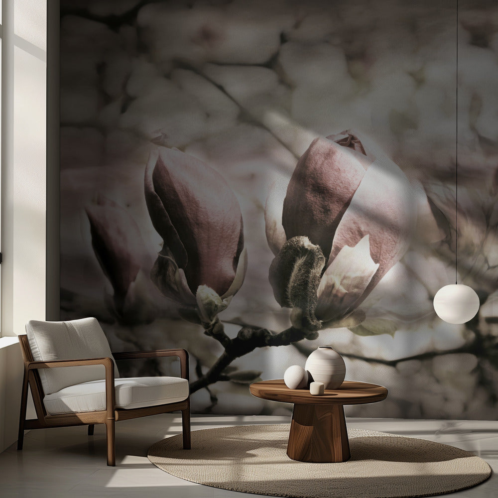 Magnolia spring | Wallpaper