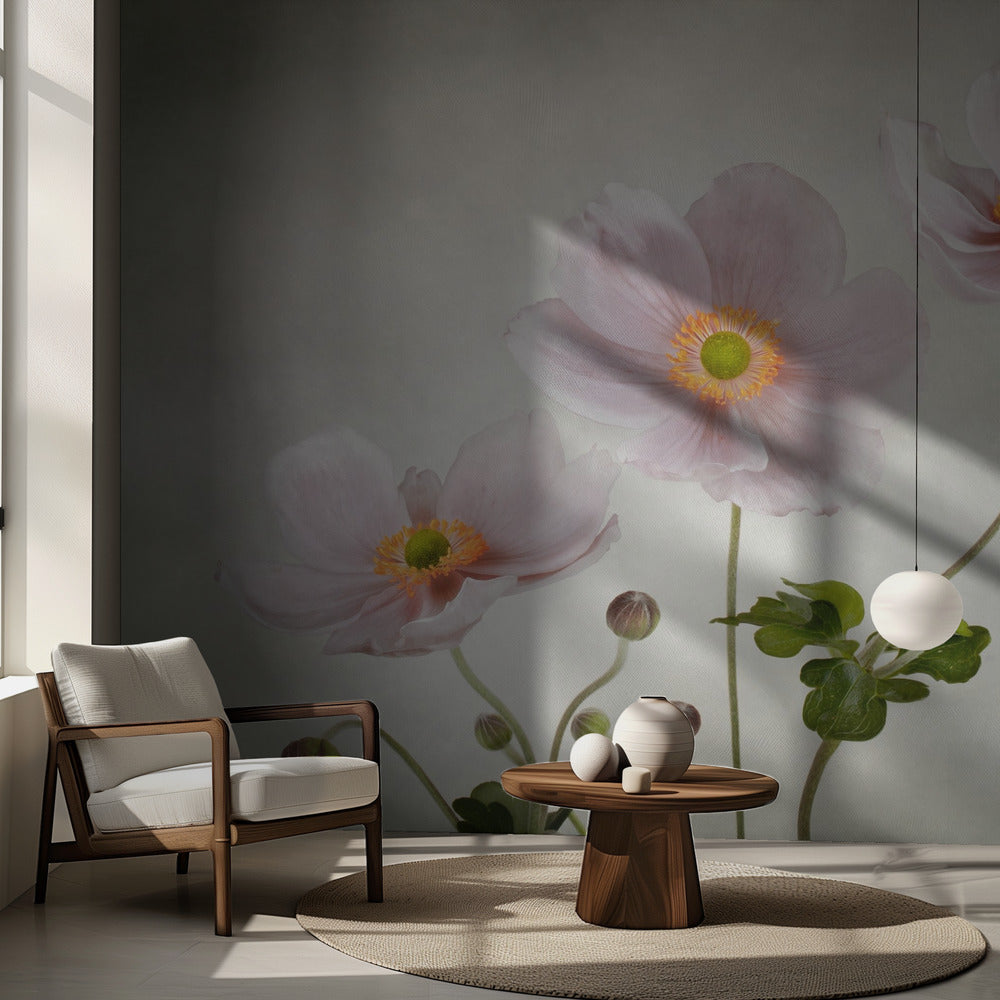 Anémonas | Papel Pintado Fotográfico
