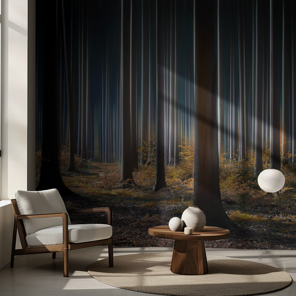 Mystisches Holz | Fototapeten