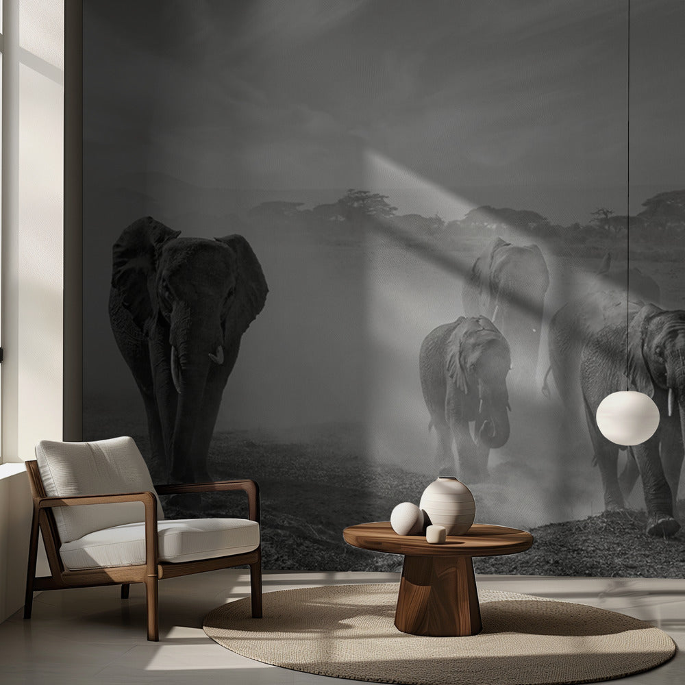 Tunnejärjestys | Valokuvatapetit